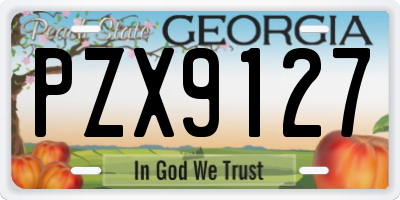 GA license plate PZX9127