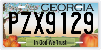 GA license plate PZX9129