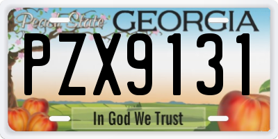 GA license plate PZX9131