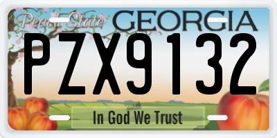 GA license plate PZX9132
