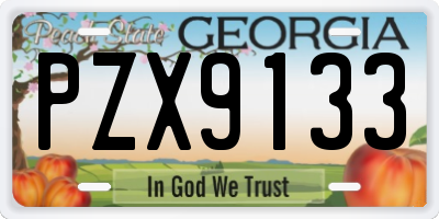 GA license plate PZX9133