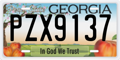 GA license plate PZX9137