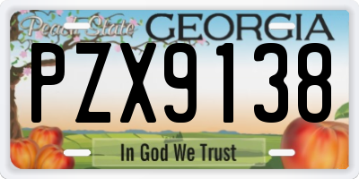 GA license plate PZX9138