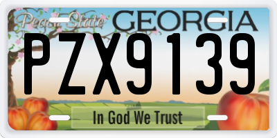 GA license plate PZX9139