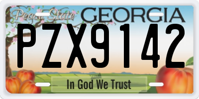 GA license plate PZX9142
