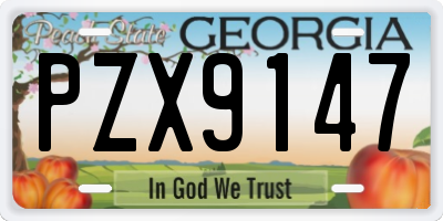 GA license plate PZX9147
