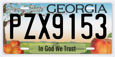 GA license plate PZX9153