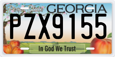 GA license plate PZX9155