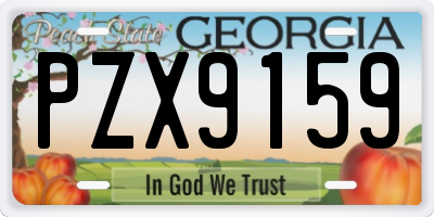 GA license plate PZX9159