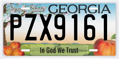 GA license plate PZX9161