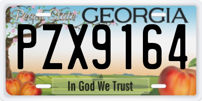 GA license plate PZX9164