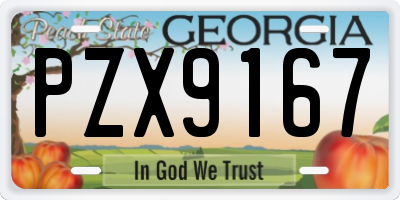 GA license plate PZX9167