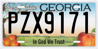 GA license plate PZX9171