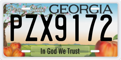 GA license plate PZX9172