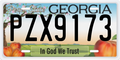 GA license plate PZX9173