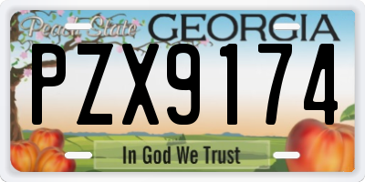 GA license plate PZX9174