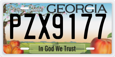 GA license plate PZX9177