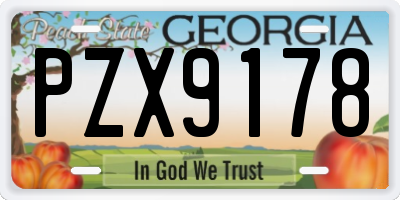 GA license plate PZX9178