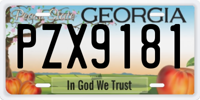GA license plate PZX9181