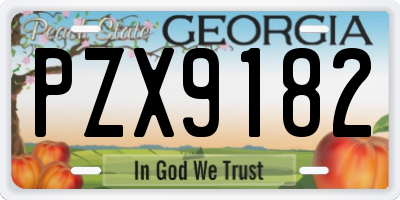 GA license plate PZX9182