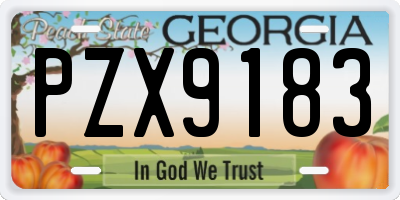 GA license plate PZX9183