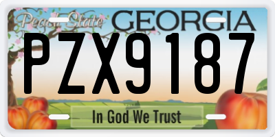 GA license plate PZX9187