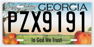 GA license plate PZX9191