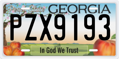 GA license plate PZX9193