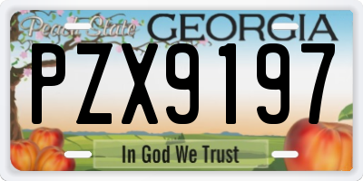 GA license plate PZX9197
