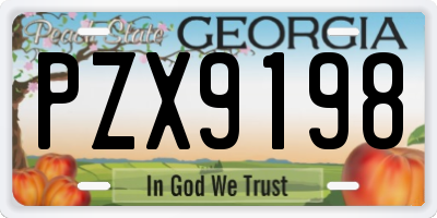 GA license plate PZX9198