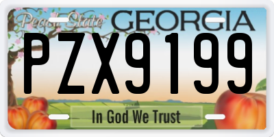 GA license plate PZX9199