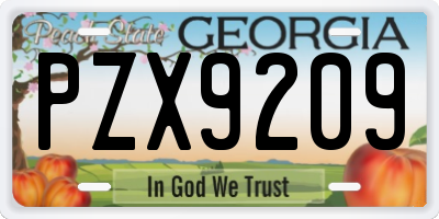 GA license plate PZX9209