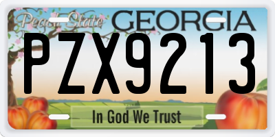 GA license plate PZX9213