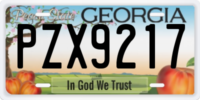 GA license plate PZX9217