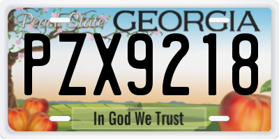 GA license plate PZX9218