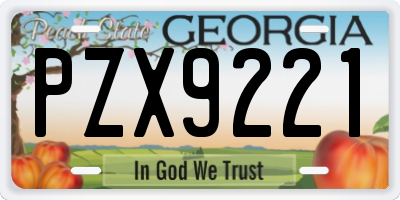 GA license plate PZX9221
