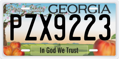GA license plate PZX9223