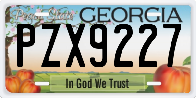 GA license plate PZX9227