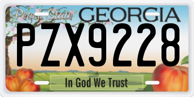 GA license plate PZX9228