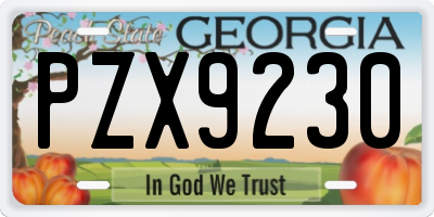 GA license plate PZX9230