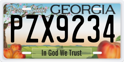 GA license plate PZX9234