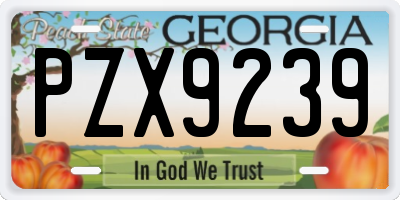 GA license plate PZX9239