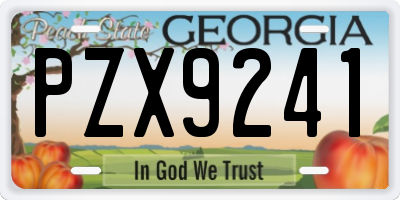 GA license plate PZX9241