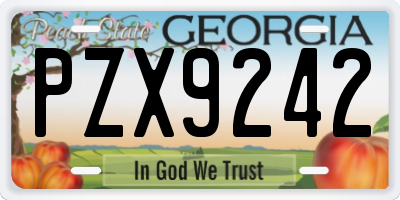 GA license plate PZX9242