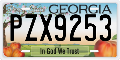 GA license plate PZX9253