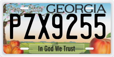 GA license plate PZX9255