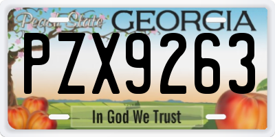 GA license plate PZX9263
