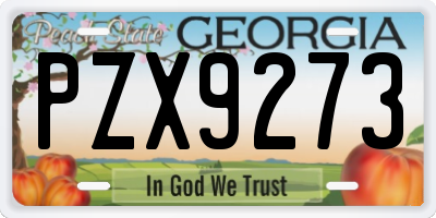 GA license plate PZX9273