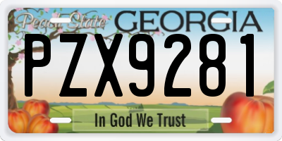 GA license plate PZX9281