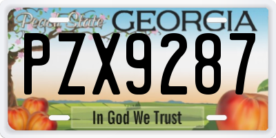 GA license plate PZX9287
